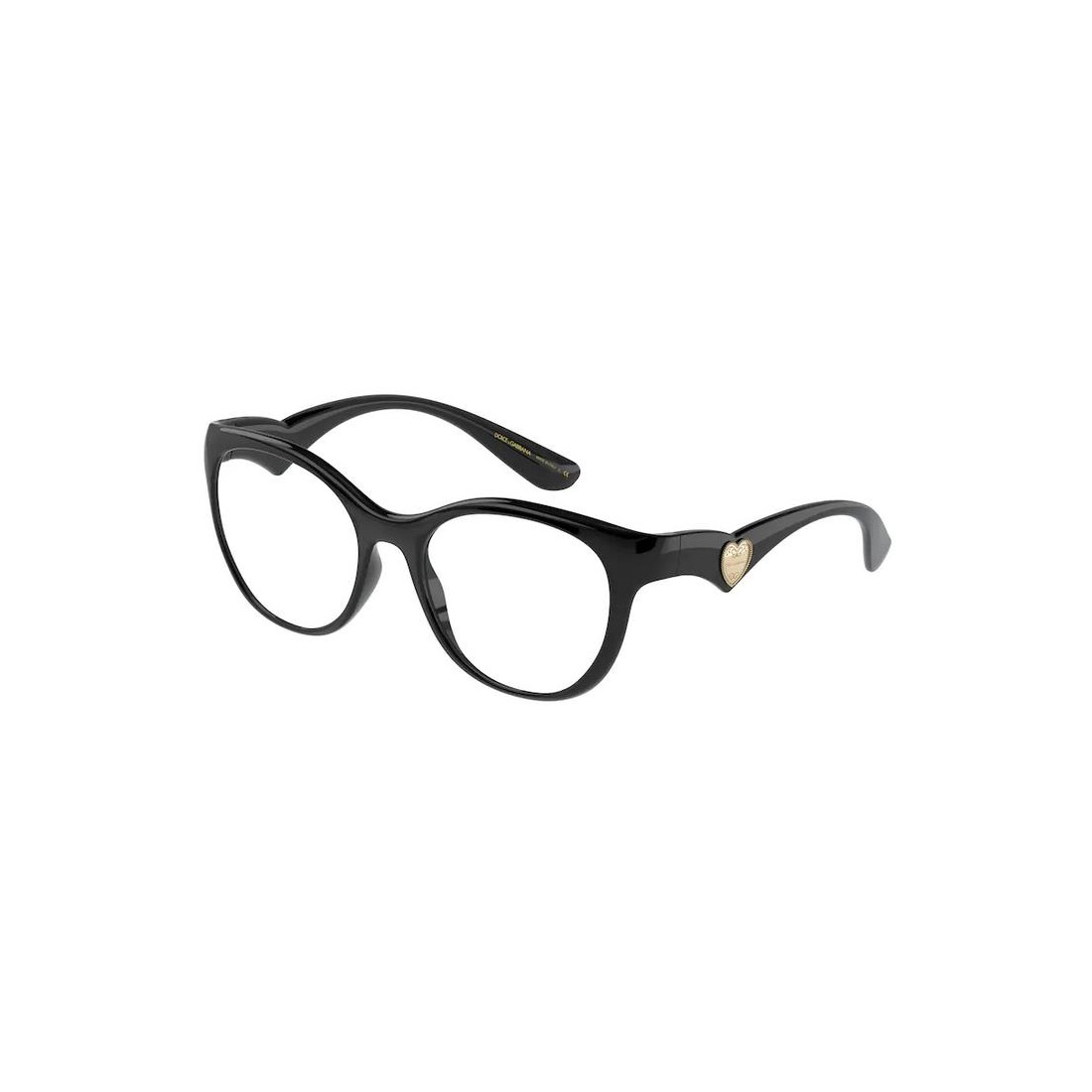 Dolce & Gabbana DG5069 501