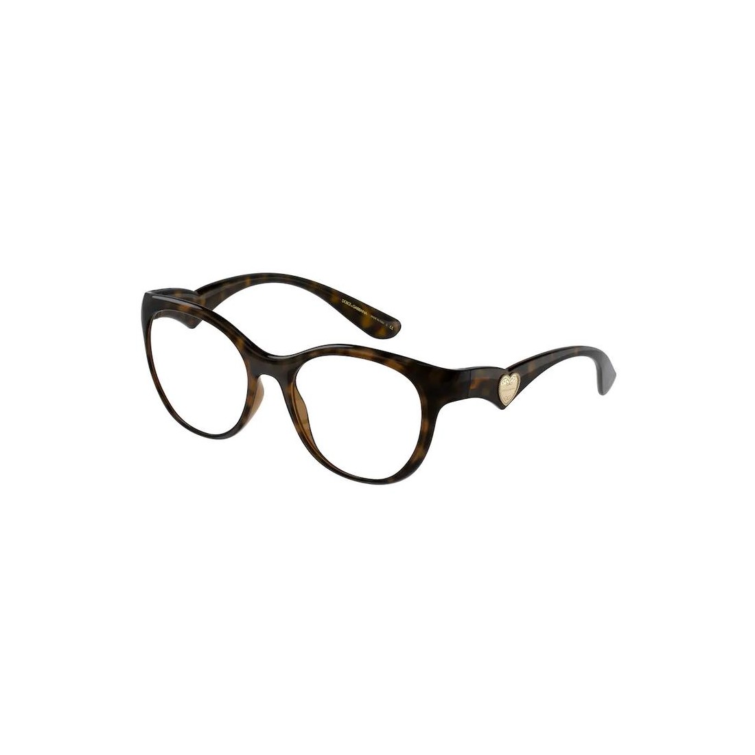 Dolce & Gabbana DG5069 502