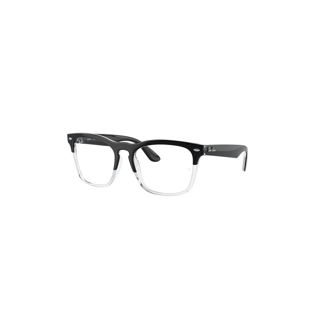 Ray-Ban STEVE RX4487V 8193