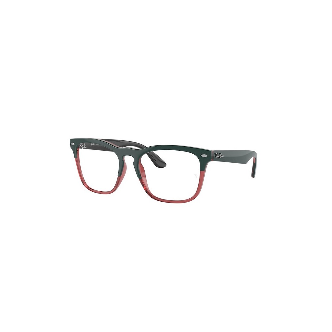 Ray-Ban STEVE RX4487V 8194