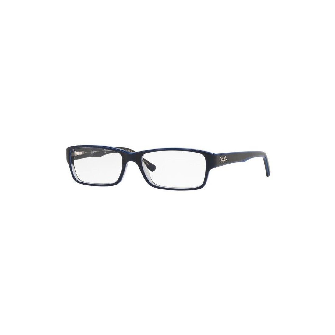 Ray-Ban RX5169 5815