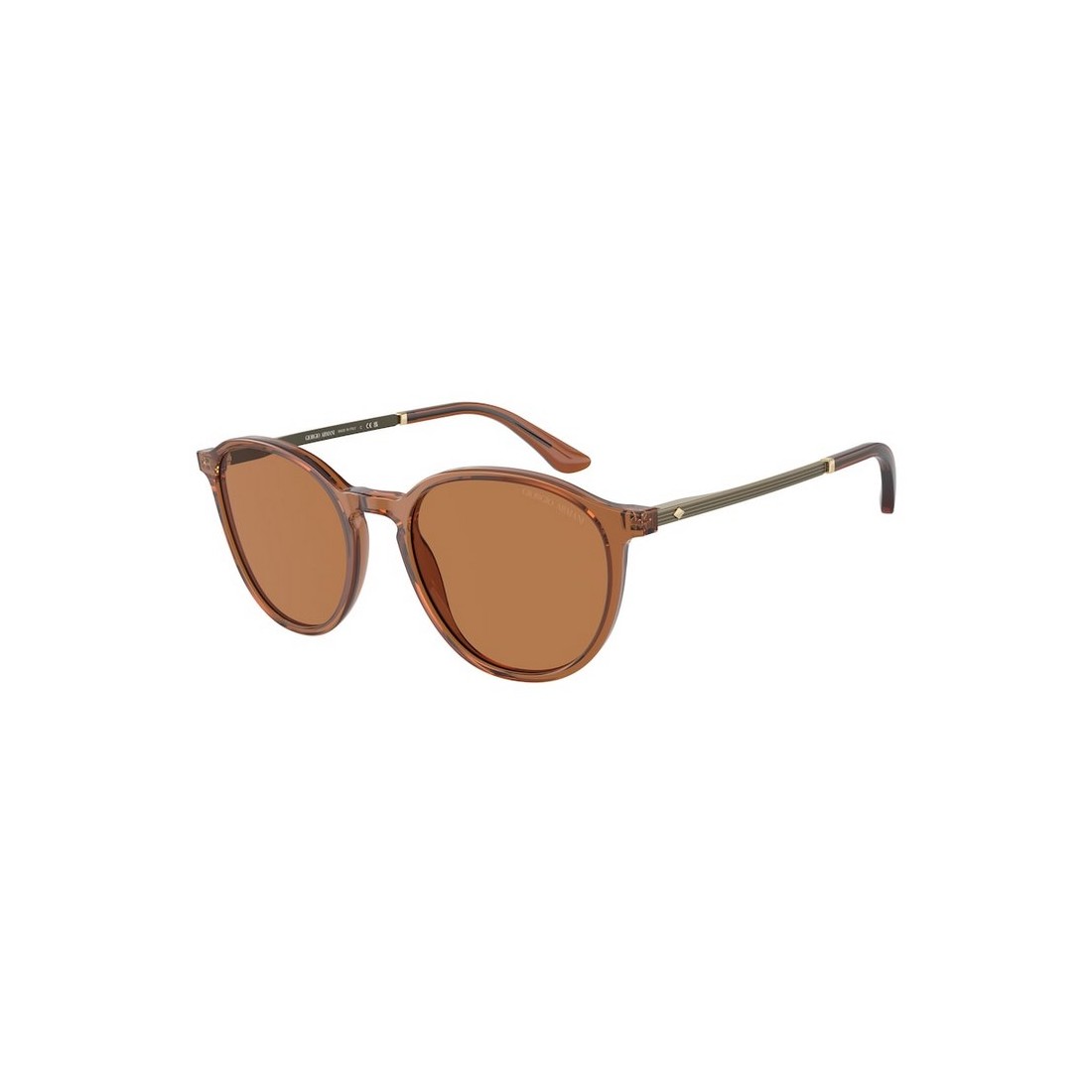 Giorgio Armani AR8196 604673