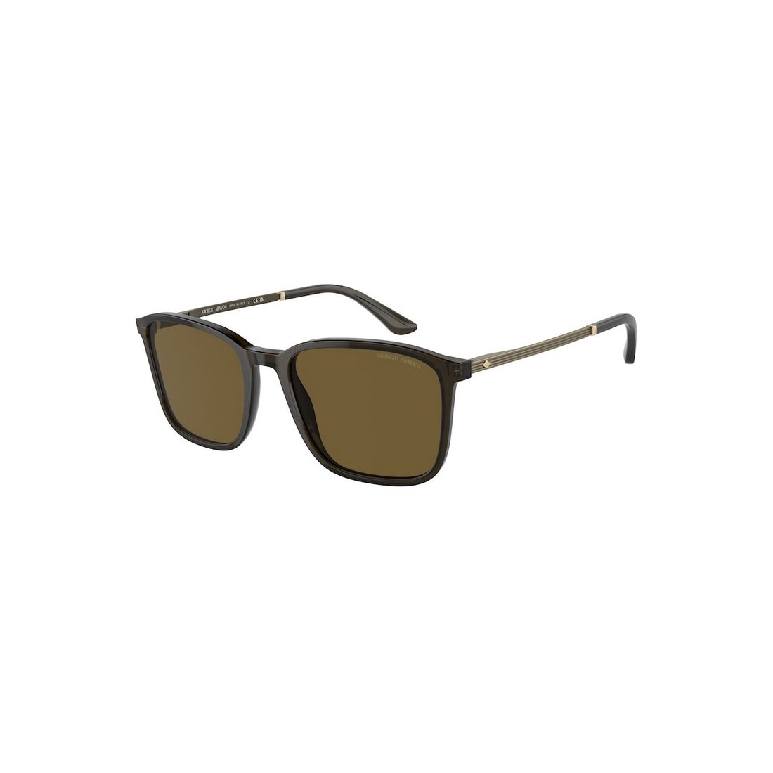 Giorgio Armani AR8197 503073