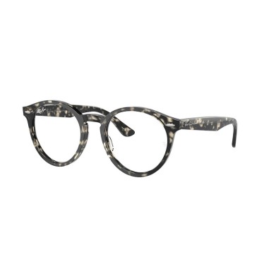 Ray-Ban LARRY RX7680V 8117