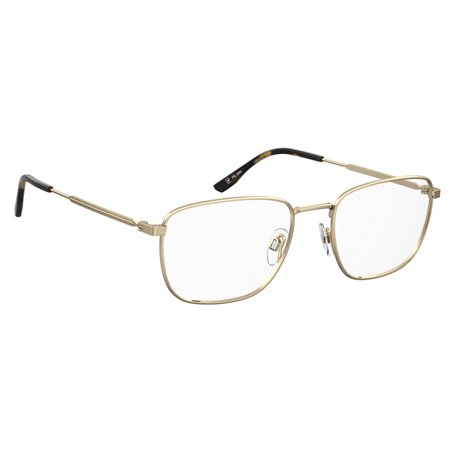 Pierre Cardin P.C. 6893 J5G