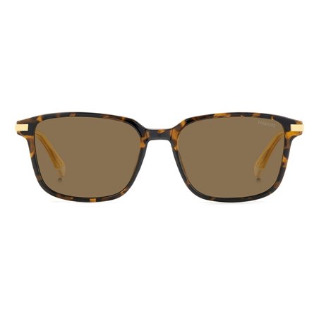 Polaroid PLD 4169/G/S/X 086(SP)