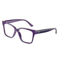 Jimmy Choo JC3006U 5050