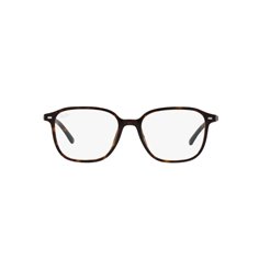 Ray-Ban LEONARD RB2193 902/GH 2