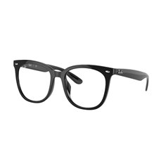Ray-Ban RX4379VD 2000