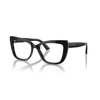 Dolce & Gabbana DG3308 3203