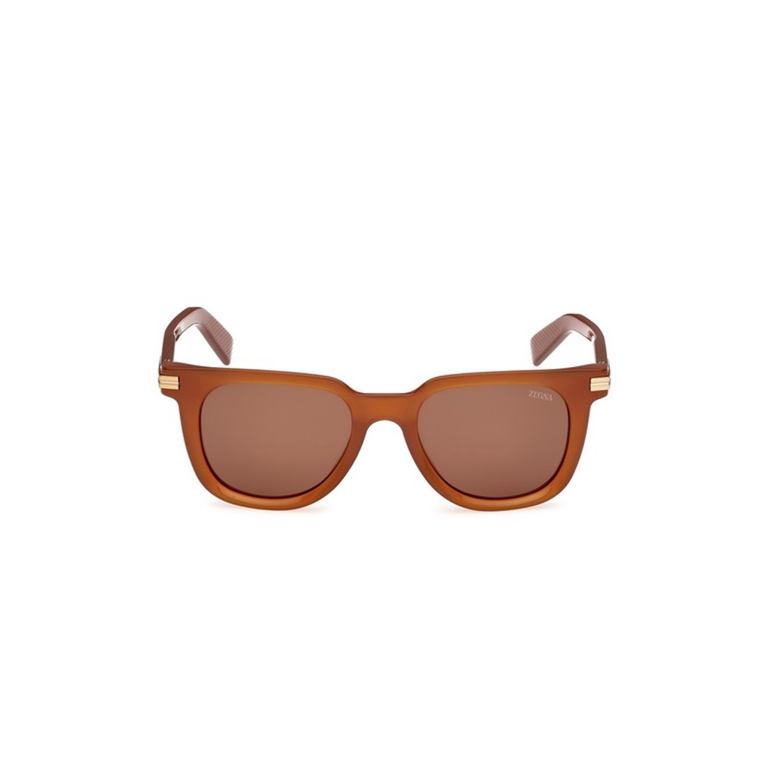 Ermenegildo Zegna EZ0248 45E