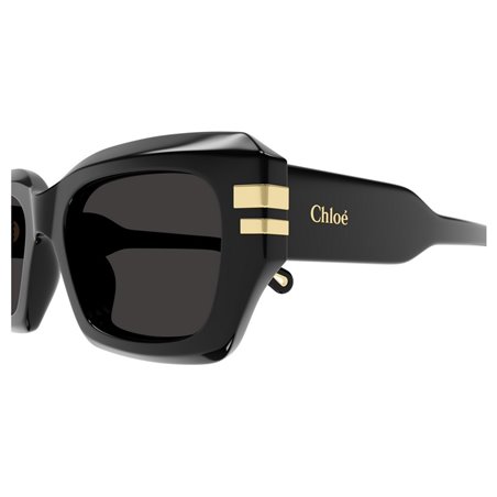 Chloé CH0256S 001