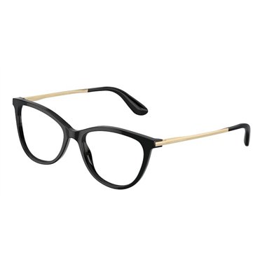 Dolce & Gabbana DG3258 501