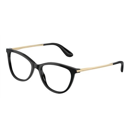 Dolce & Gabbana DG3258 501