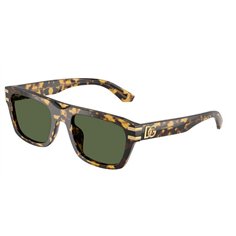 Dolce & Gabbana DG4496 333071