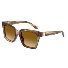 Dolce & Gabbana DG4498 34462L