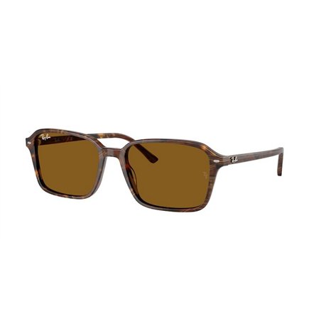Ray-Ban RAIMOND RB2231 141833