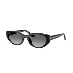 Ray-Ban RB4457D 667711