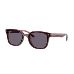 Ray-Ban RB4461D 659373
