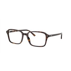 Ray-Ban RAIMOND RX5431 2012