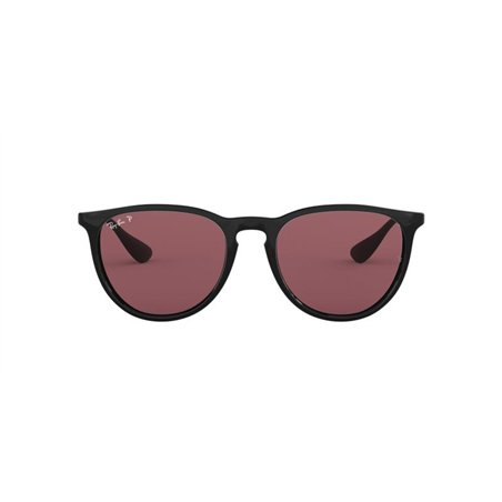 Ray-Ban ERIKA RB4171 601/5Q