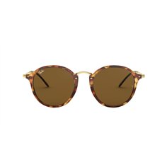 Ray-Ban RB2447 1160 2