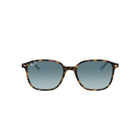 Ray-Ban LEONARD RB2193 13163M