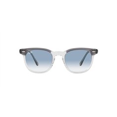 Ray-Ban HAWKEYE RB2298 13553F 2