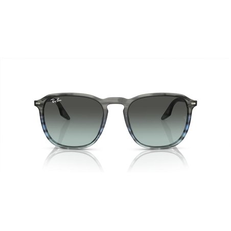 Ray-Ban RB2203 1391GK