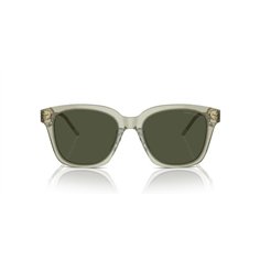 Giorgio Armani AR8210U 608331 2