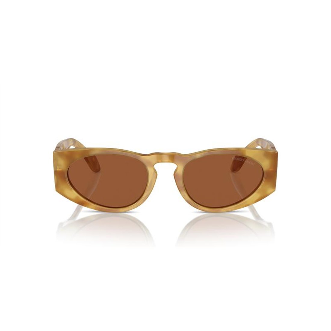 Giorgio Armani AR8216 597973