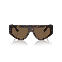 Dolce & Gabbana DG4461 502/73 2