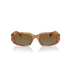 Ralph de Ralph Lauren RA5311U 6151T5 2