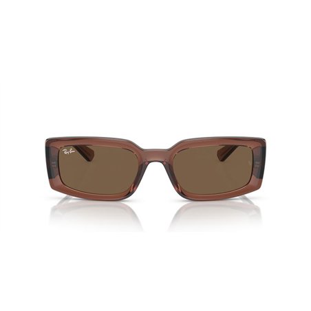 Ray-Ban KILIANE RB4395 667873