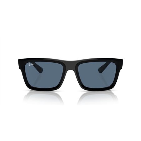 Ray-Ban WARREN RB4396 667780