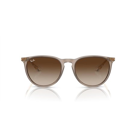 Ray-Ban ERIKA RB4171 674413