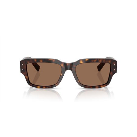 Dolce & Gabbana DG4483 502/73