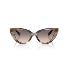 Dolce & Gabbana DG4497 34493B 2