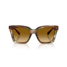 Dolce & Gabbana DG4498 34462L 2