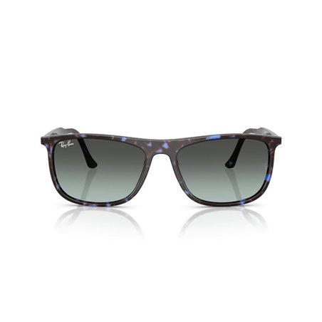 Ray-Ban RB2216 1430GK