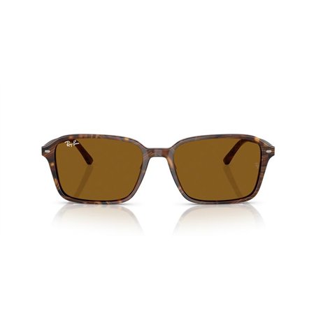 Ray-Ban RAIMOND RB2231 141833