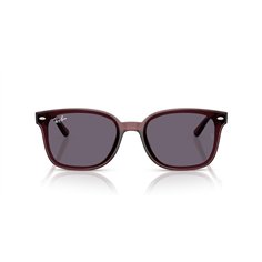 Ray-Ban RB4461D 659373 2