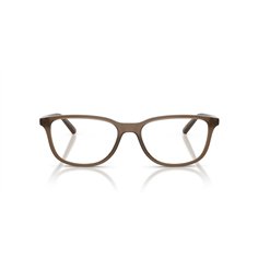 Arnette CRUMBLE AN7281 2997 2