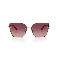 Dolce & Gabbana DG2321 02/8D 2