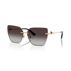 Dolce & Gabbana DG2321 02/8G