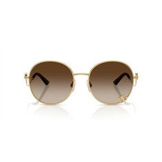 Dolce & Gabbana DG2324 02/13 2