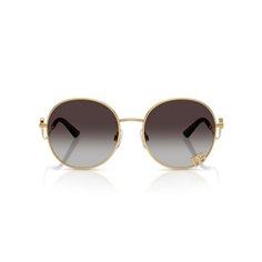 Dolce & Gabbana DG2324 02/8G 2