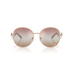 Dolce & Gabbana DG2324 1298EL 2