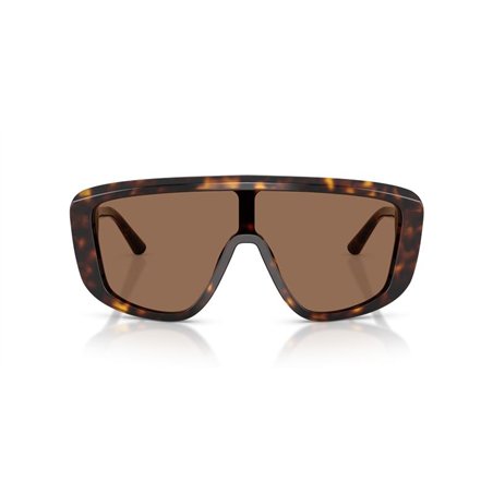 Dolce & Gabbana DG4520 502/73