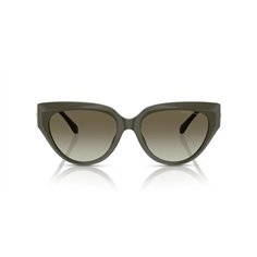 Michael Kors BOCA RATON MK2241U 39023M 2